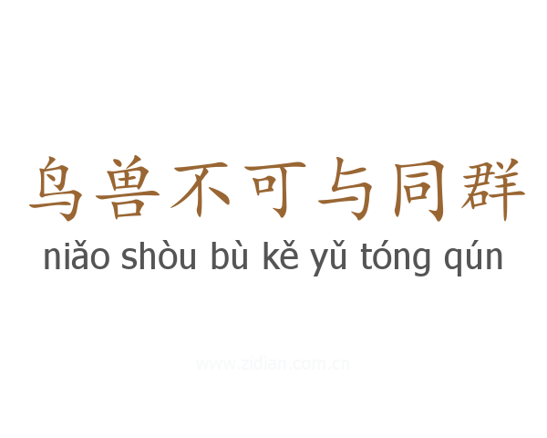 鸟兽不可与同群