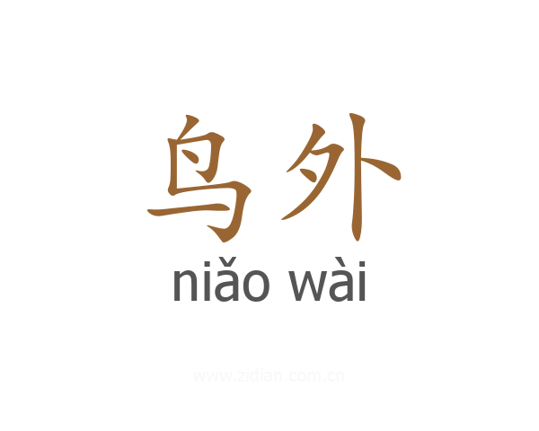 鸟外