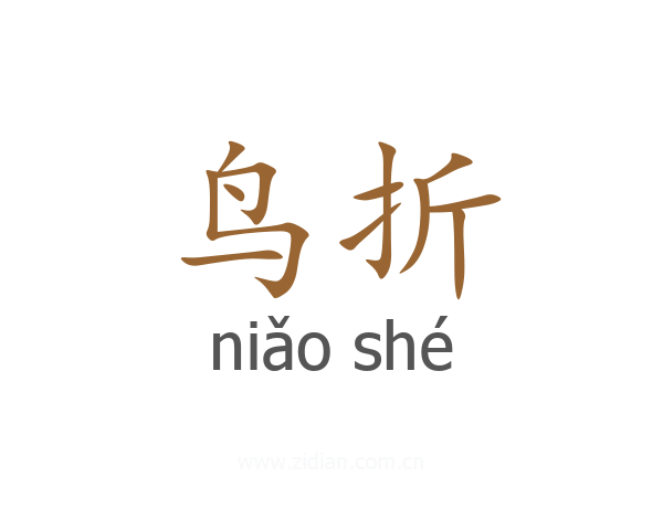 鸟折