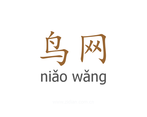 鸟网
