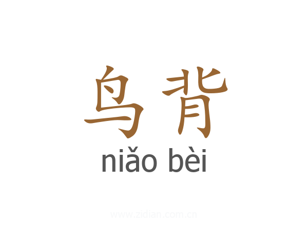 鸟背