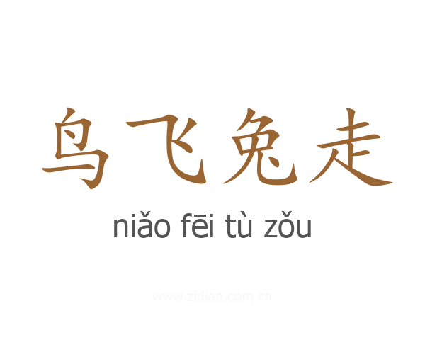 鸟飞兔走