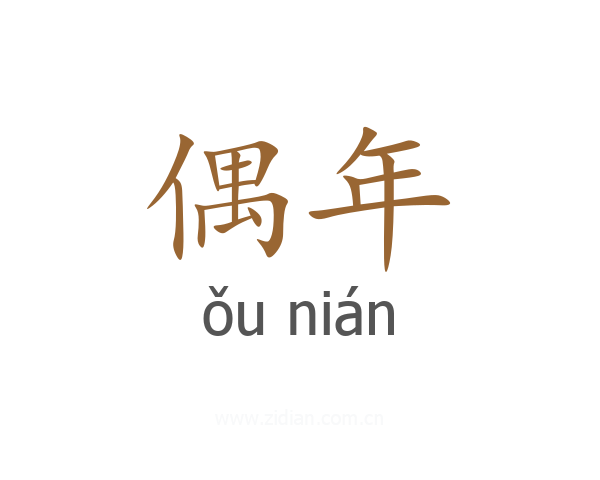 偶年
