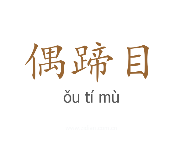 偶蹄目