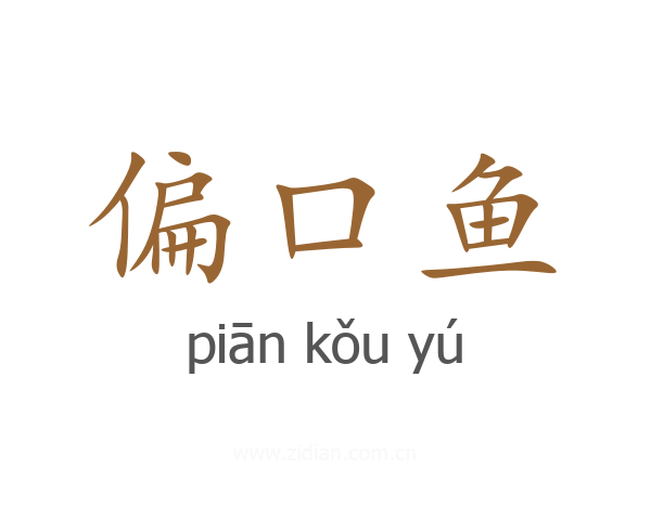偏口鱼
