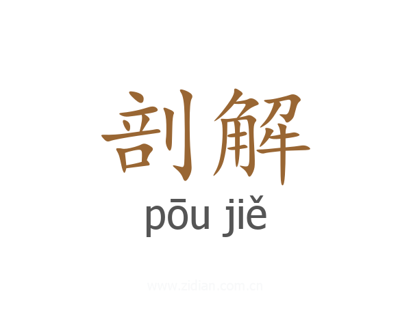 剖解