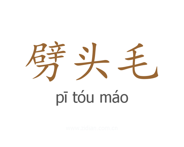 劈头毛