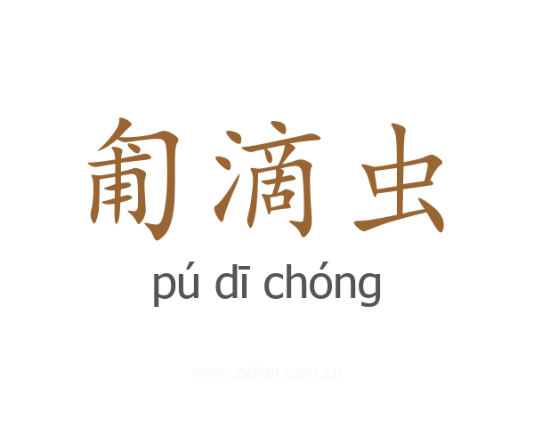 匍滴虫