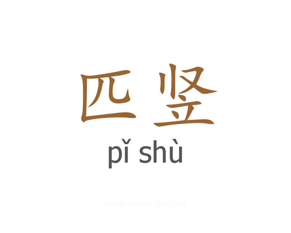 匹竖