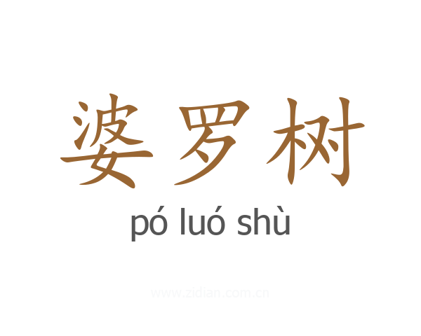 婆罗树