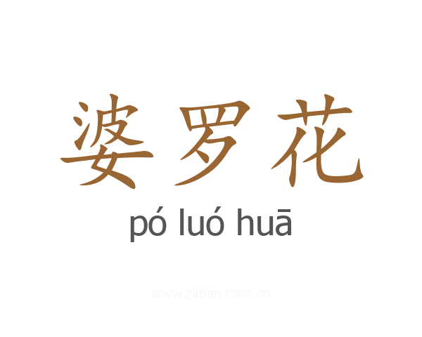 婆罗花