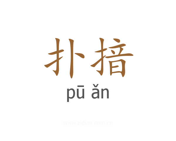 扑揞
