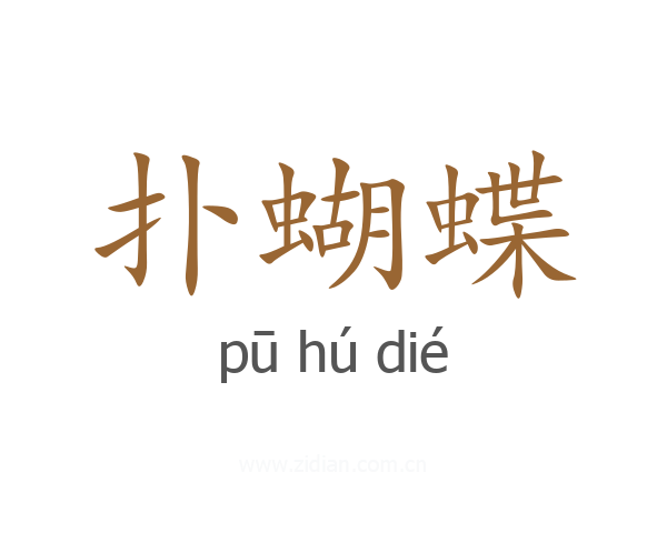 扑蝴蝶