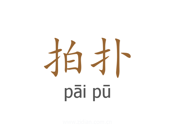 拍扑