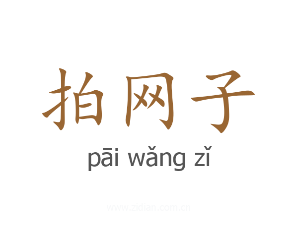 拍网子