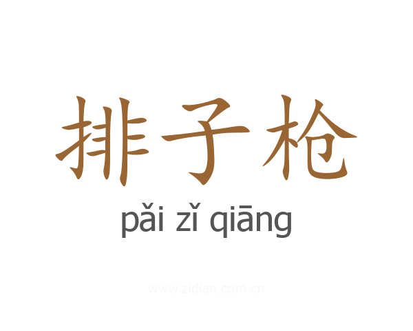 排子枪