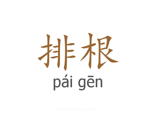排根
