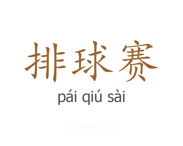 排球赛