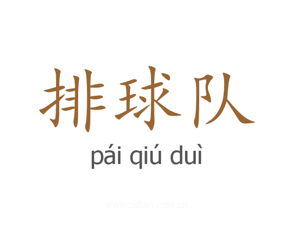 排球队