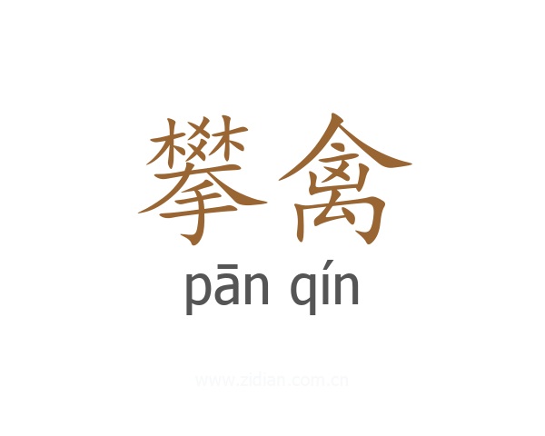 攀禽