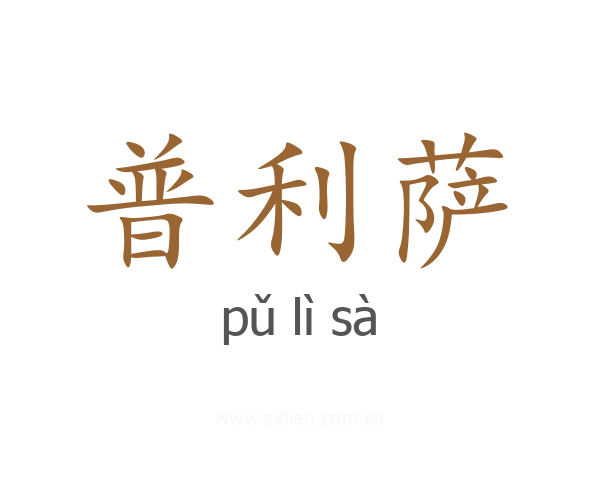 普利萨