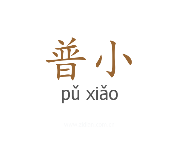 普小