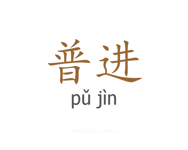 普进