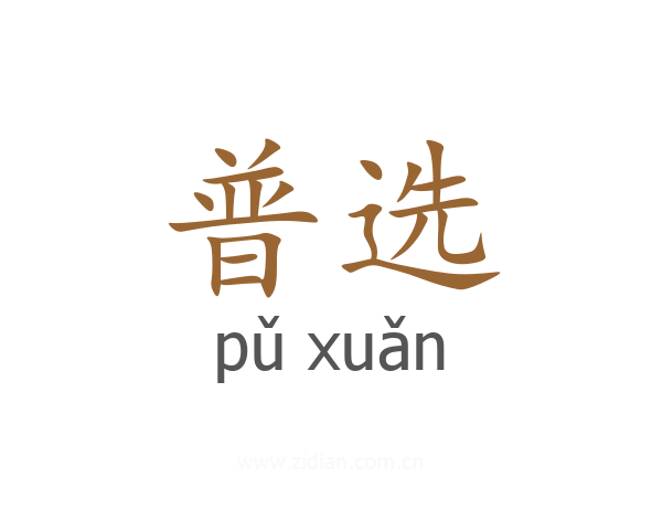 普选
