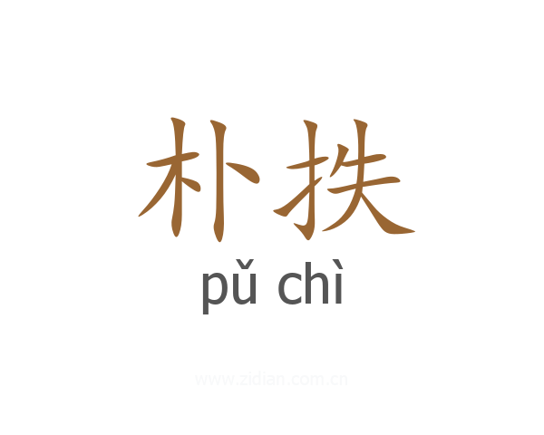 朴抶