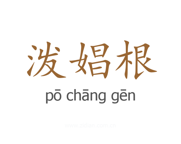 泼娼根
