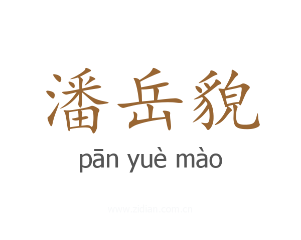 潘岳貌