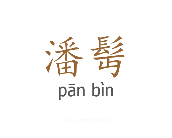 潘髩