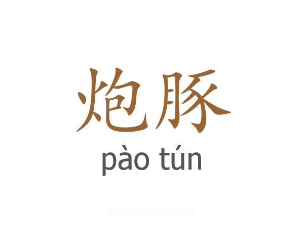 炮豚