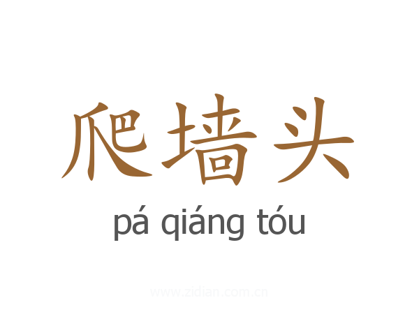 爬墙头