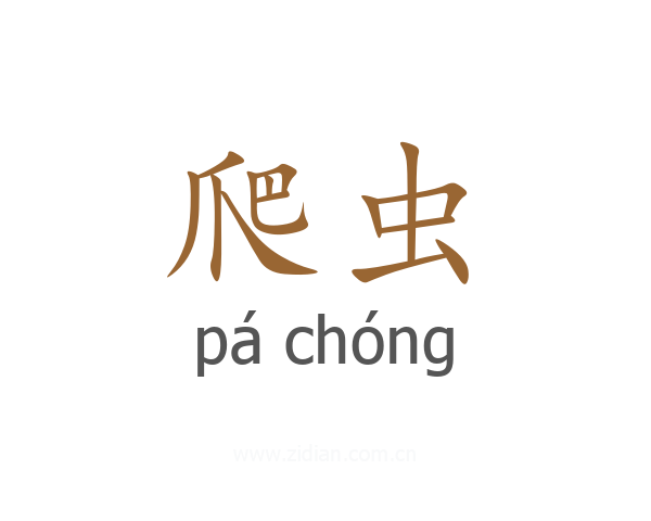 爬虫