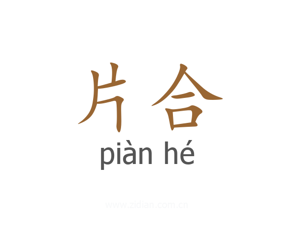片合