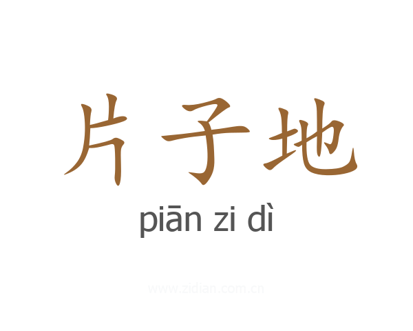 片子地