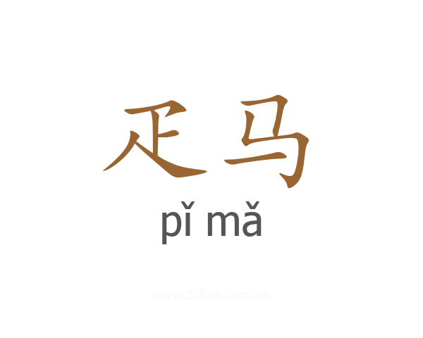 疋马