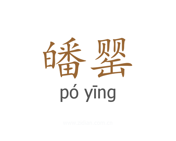皤罂