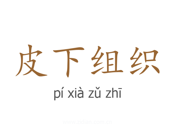 皮下组织
