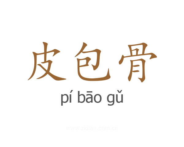 皮包骨