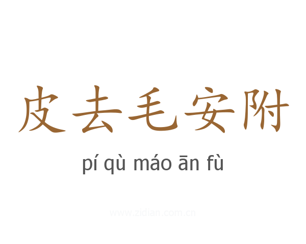 皮去毛安附