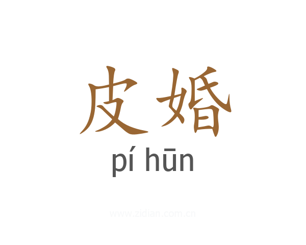 皮婚