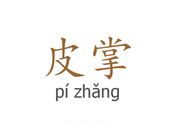 皮掌