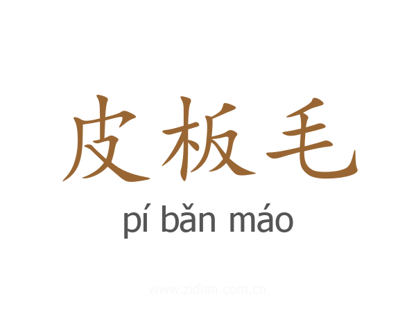 皮板毛