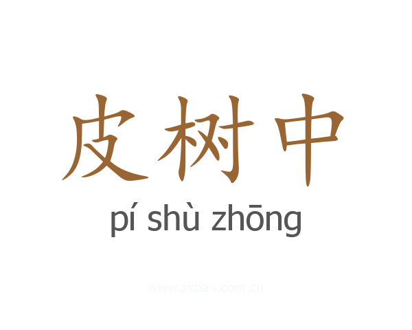 皮树中