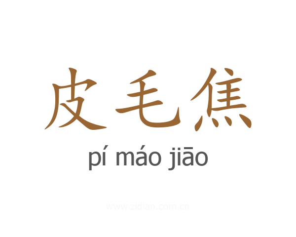 皮毛焦