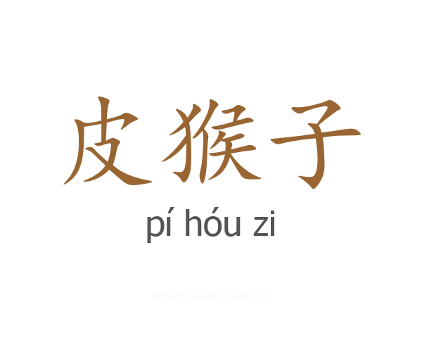 皮猴子