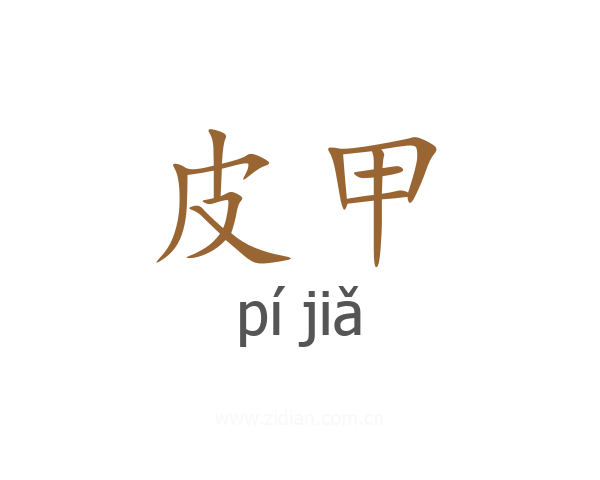 皮甲