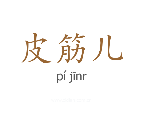 皮筋儿